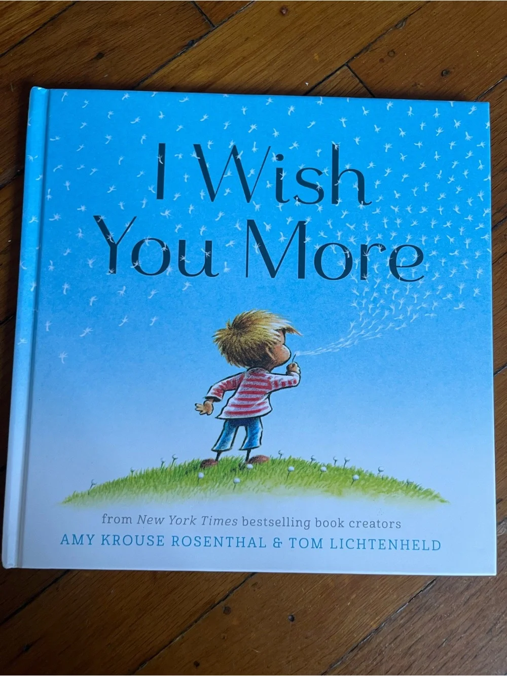 I Wish You More - Children's Picture Book (Blue Cover)